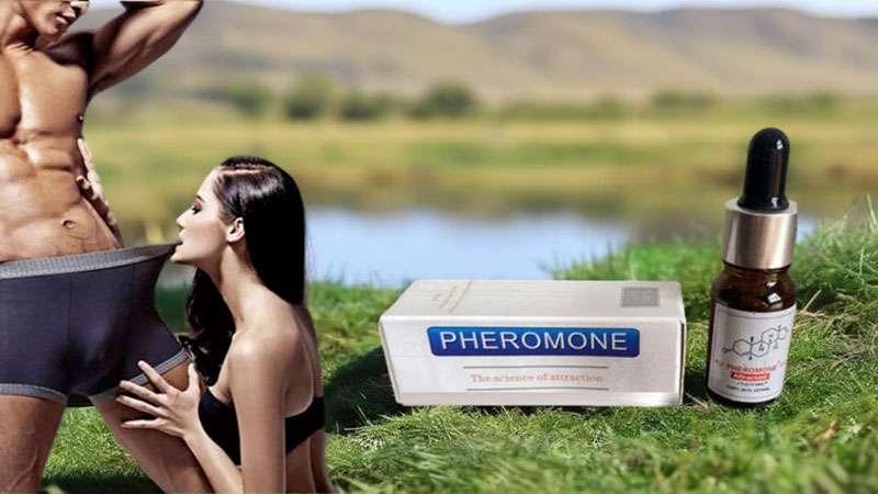 Hiệu quả nước hoa kích thích nam Pheromone